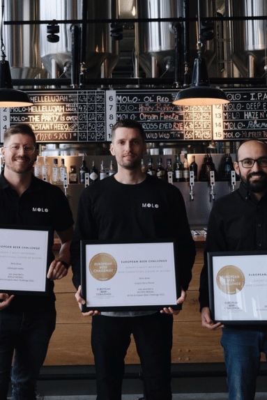 Boys at MOLO holding gold, silver and bronze for Hellelujah, Instant Hero and Organ Fiesta